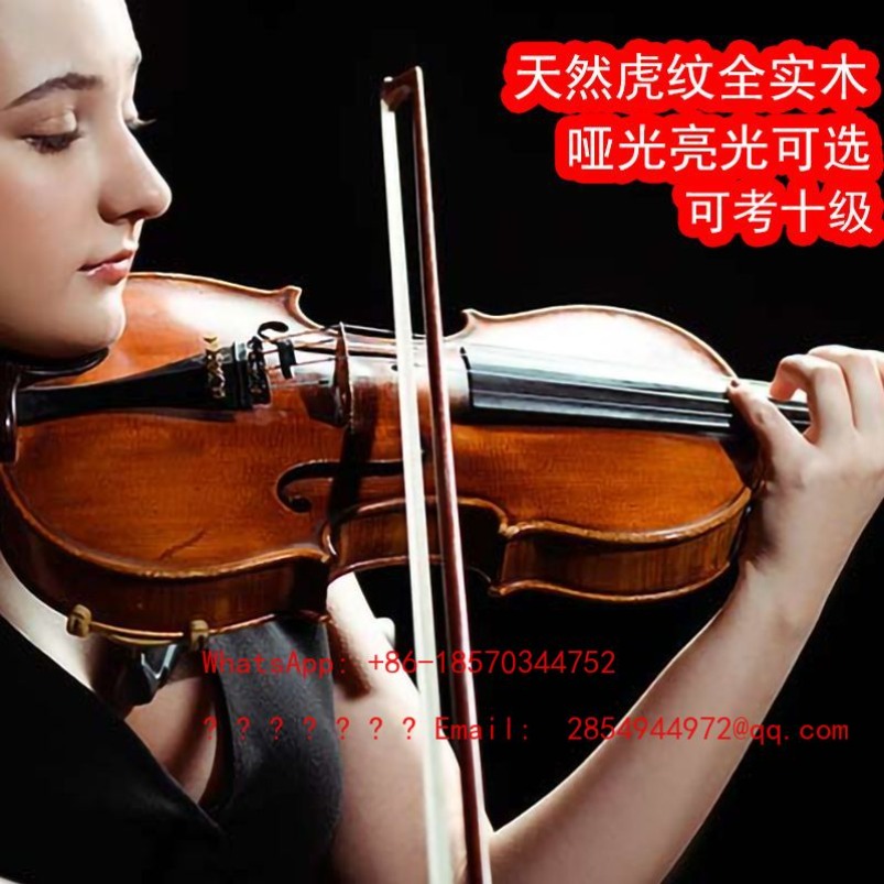 Musical Instrument Net - プロ仕様演奏グレードバイオリン楽器オールソリッドウッド手作りバイオリン