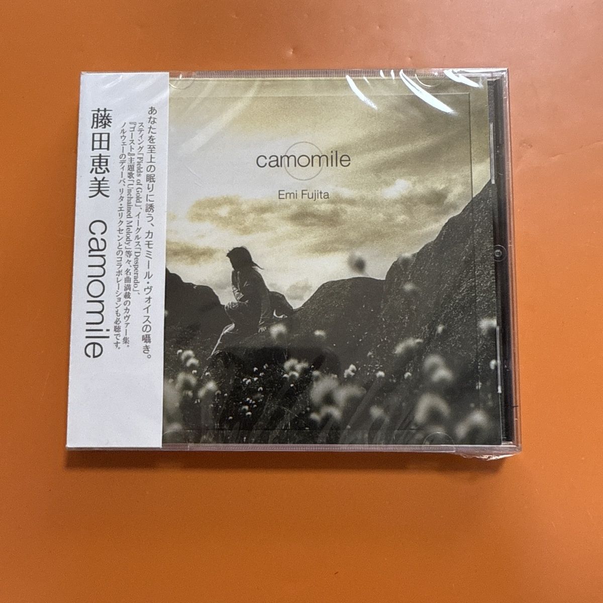 Musical Instrument In Japanese - 癒やし系の日本のフォークポップCD、柔らかく温かい優しいボーカル、メロウなアコースティック・インストアレンジ、ステレオミュージックディスク